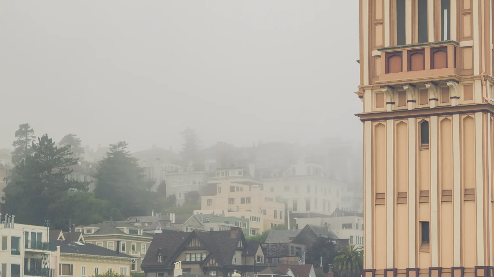 Fog settling around Pacific Heights and Cow Hollow in San Francisco